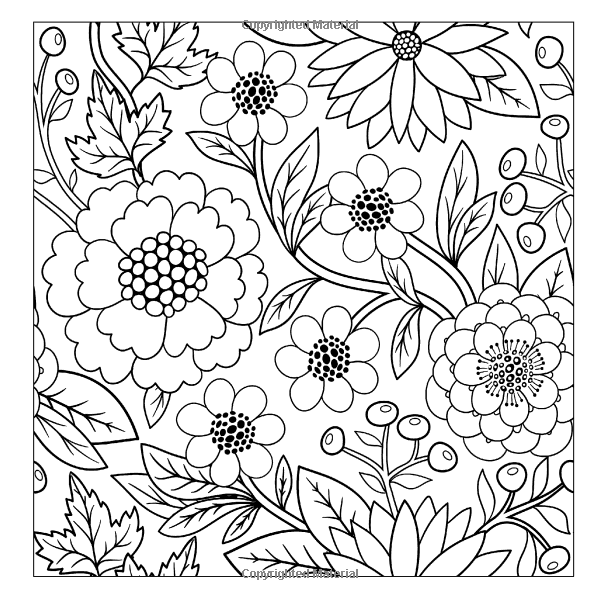 Colouring Book Series - Floral Designs